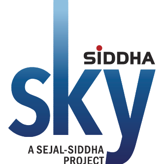 SkyLogo Logo